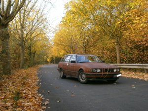 E34, 525i 24V Touring Ratte - 5er BMW - E34