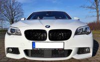 PITs BMW 550ix - 5er BMW - F10 / F11 / F07 - Ava.jpg