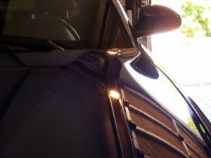 caerulea margarita - 1er BMW - E81 / E82 / E87 / E88