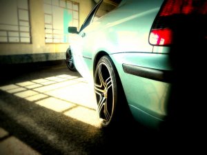 Rabbit - 3er BMW - E46