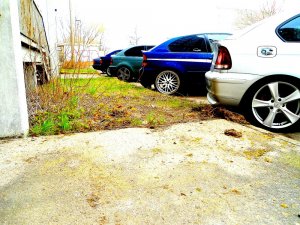 Rabbit - 3er BMW - E46