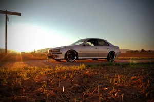 Mein E39 525D "The Lowly Gentleman" - 5er BMW - E39
