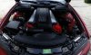 oem-works Limousine Projekt "Die rote Zora" - 5er BMW - E39 - 20140824_151326.jpg