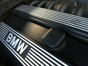 E36 323i Daily B!tch - 3er BMW - E36
