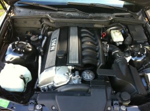 E36 323i Daily B!tch - 3er BMW - E36