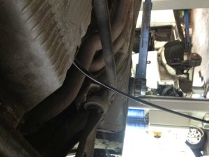 E36 323i Daily B!tch - 3er BMW - E36