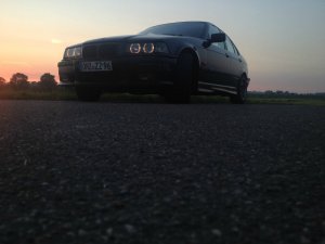 E36 323i Daily B!tch - 3er BMW - E36