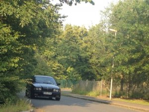 E36 323i Daily B!tch - 3er BMW - E36
