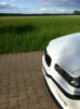 E36 325i Coup (M50 ohne Vanos) White Pearl - 3er BMW - E36 - IMG_3459.JPG