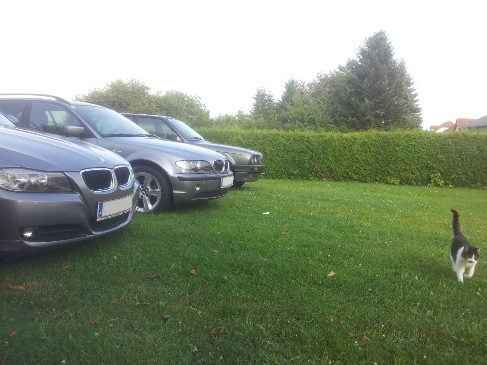 320D 1st Car - 3er BMW - E46