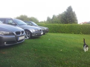 320D 1st Car - 3er BMW - E46 320D 1st Car - 3er BMW - E46