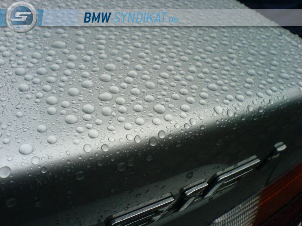 bear´s E36 316i Coupe - 3er BMW - E36