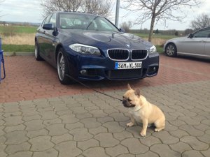 528i - Alcantara-///M-Performance - 5er BMW - F10 / F11 / F07
