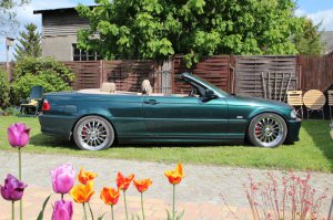 330ci Cabrio - der grüne Sommerschlitten - 3er BMW - E46 330ci Cabrio - der grüne Sommerschlitten - 3er BMW - E46