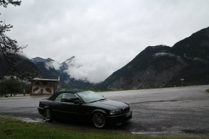 330ci Cabrio - der grüne Sommerschlitten - 3er BMW - E46 330ci Cabrio - der grüne Sommerschlitten - 3er BMW - E46