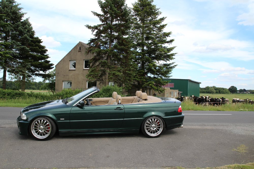 330ci Cabrio - der grne Sommerschlitten - 3er BMW - E46