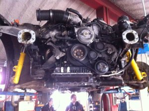 E36 318is UMBAU 4.0L V8 - 3er BMW - E36