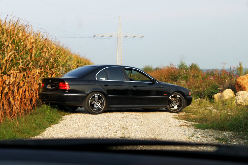 Meine Schnheit - 5er BMW - E39