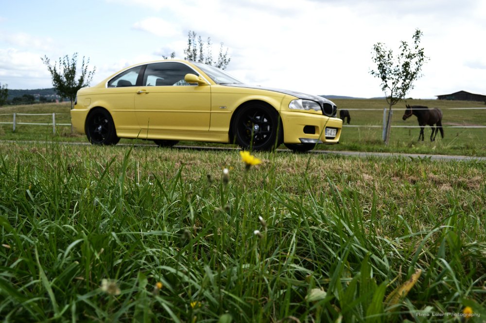 e46 328Ci Mad BEE Dakar-Gelb - 3er BMW - E46