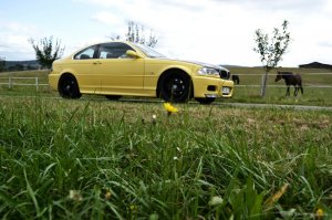 e46 328Ci Mad BEE Dakar-Gelb - 3er BMW - E46