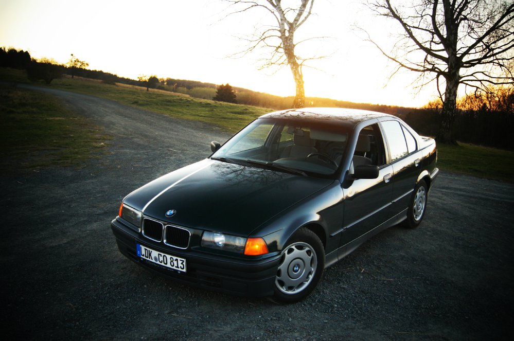 Paddys anfang der Green Limo - 3er BMW - E36