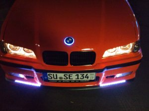 BMW E36 Cabrio Restauration - 3er BMW - E36