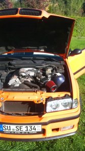 BMW E36 Cabrio Restauration - 3er BMW - E36