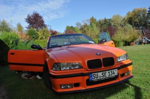 BMW E36 Cabrio Restauration - 3er BMW - E36
