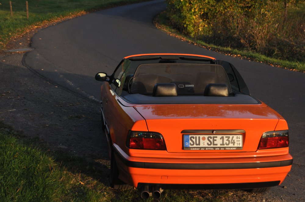 BMW E36 Cabrio Restauration - 3er BMW - E36