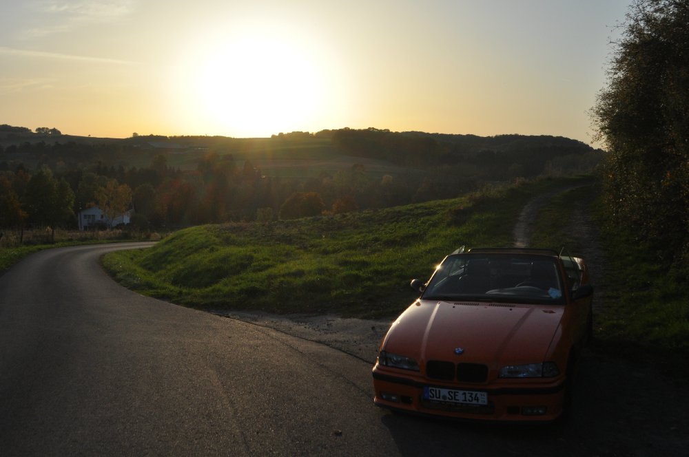 BMW E36 Cabrio Restauration - 3er BMW - E36