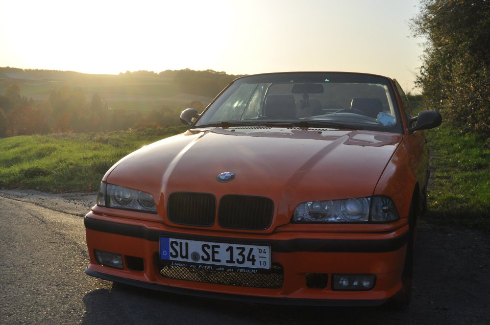 BMW E36 Cabrio Restauration - 3er BMW - E36