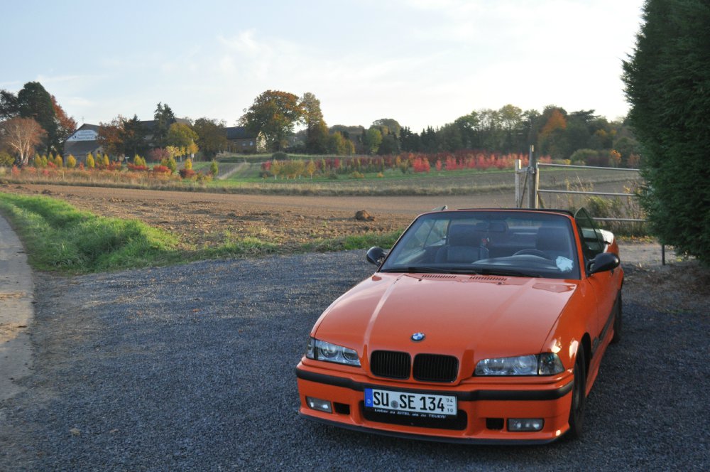 BMW E36 Cabrio Restauration - 3er BMW - E36