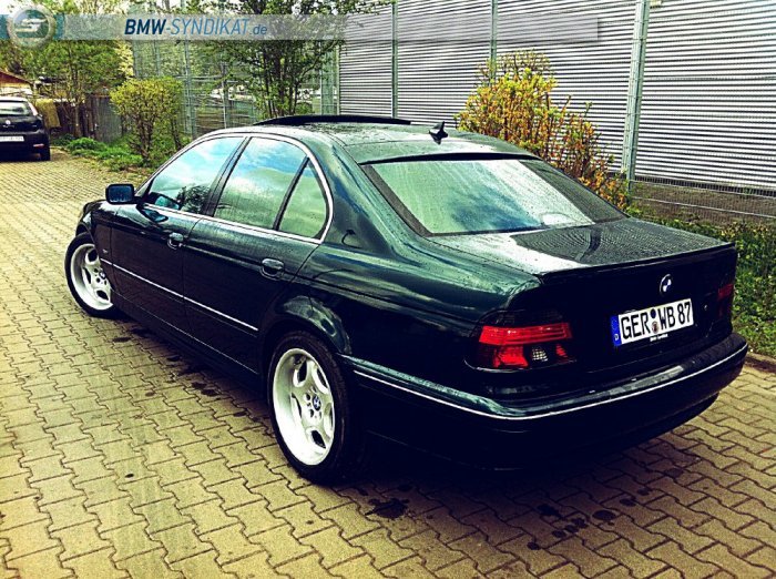 BMW e39 520i Oxfordgrn - 5er BMW - E39