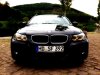 E91 318d Touring - 3er BMW - E90 / E91 / E92 / E93 - IMG_0547.JPG