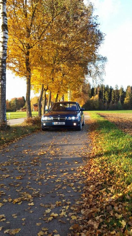 E46 320i Limousine Topasblau - 3er BMW - E46