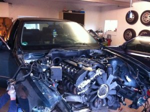 Neverending Story - Mein 523i - 5er BMW - E39