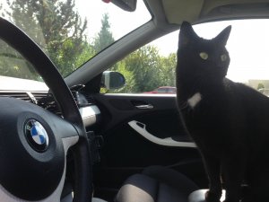 e46 ///M *Verkauft* - 3er BMW - E46