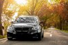 BLACK :) - 5er BMW - E60 / E61 - herbst.jpg