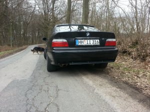 E36 Static by Camber. - 3er BMW - E36