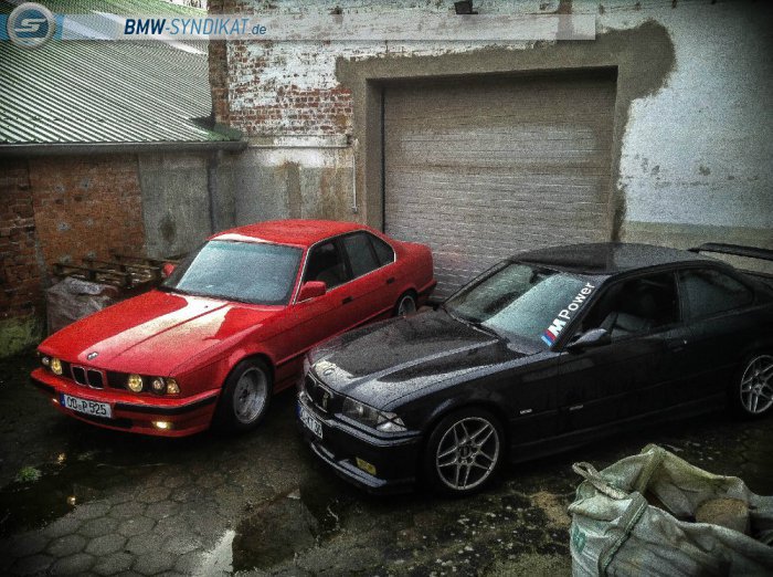 E36 Static by Camber. - 3er BMW - E36