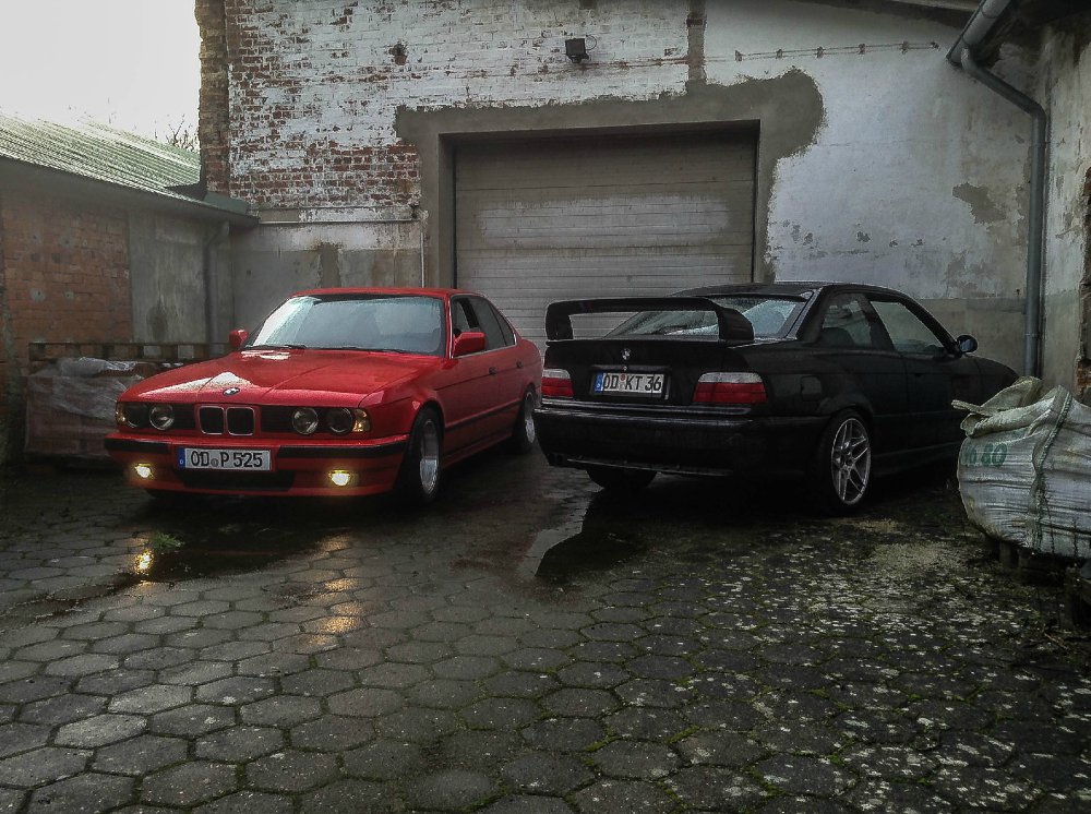 E36 Static by Camber. - 3er BMW - E36