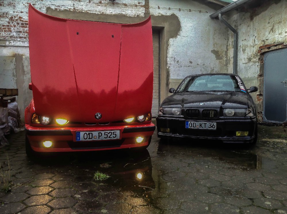 E36 Static by Camber. - 3er BMW - E36