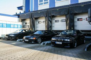 E36 Static by Camber. - 3er BMW - E36