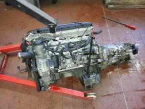 Bmw E36 Beautykur - 3er BMW - E36