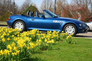 Mein Bruno - Z3 - BMW Z1, Z3, Z4, Z8