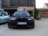 E46 330ci Black - 3er BMW - E46 - 3yusvtcrdf8u.jpg