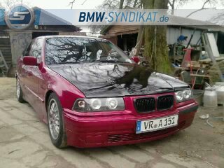 BMW-Syndikat Fotostorie