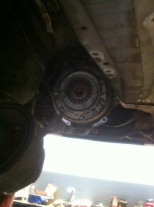 Mein erster...Compact - 3er BMW - E36