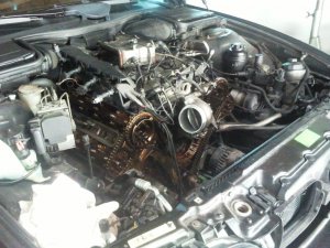 Der Dicke - 5er BMW - E39