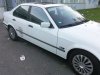 e36 320i alpinweiss 3 * Update * M- Paket - 3er BMW - E36 - Foto1150.jpg